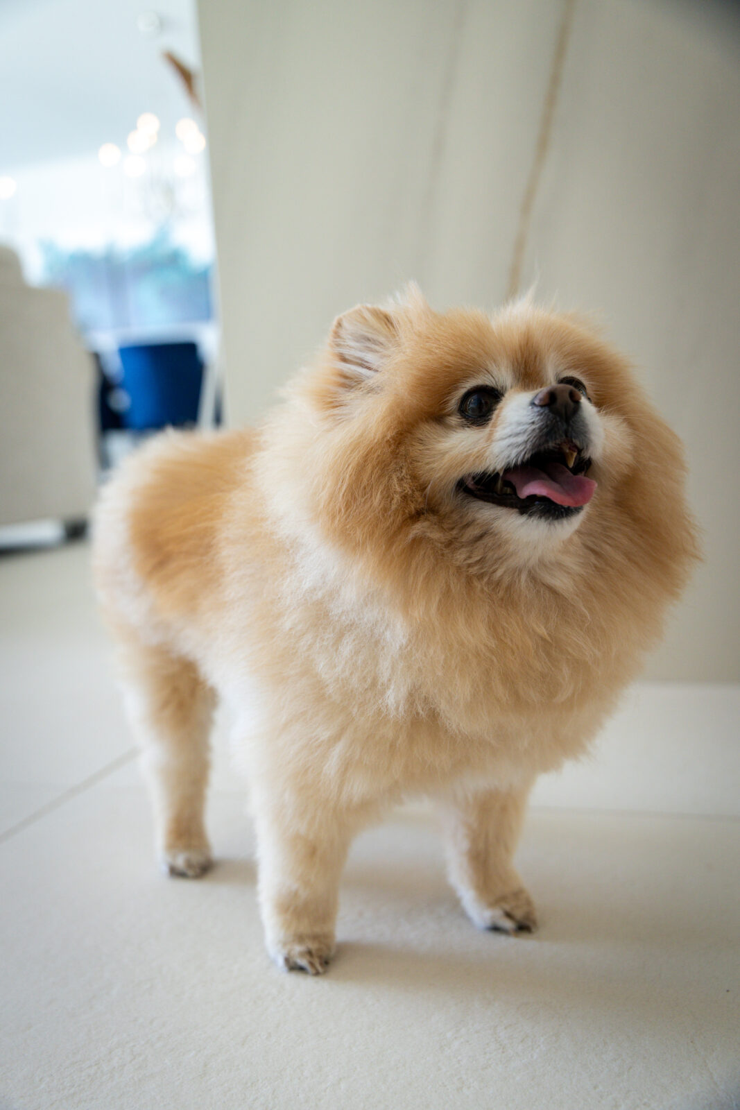 Our client Sue and Graeme